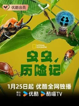 《虫虫历险记》：皮克斯的奇思妙想，一场关于勇气与团结的昆虫史诗！