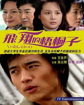 《飞翔的梧桐子》：一部关于梦想与成长的治愈系佳作，唤醒你内心深处的渴望