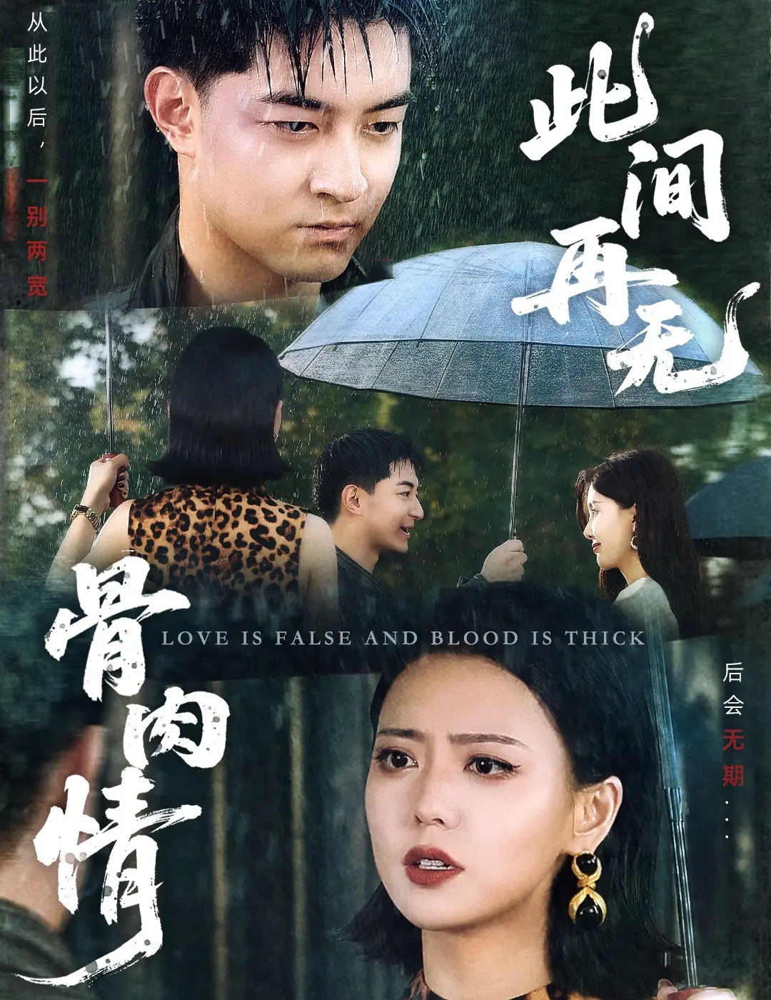 此间再无骨肉情：家庭破碎与重生的感人故事