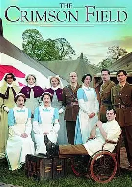 《深红战场》：血与荣耀的史诗画卷，战争残酷下的生存抉择！