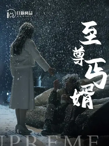 《至尊丐婿》：逆袭打脸！底层赘婿如何翻身成为都市传说，上演精彩绝伦的财富与爱情双重奏