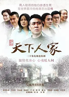 《天下人家》：王安石变法下的家族命运沉浮，一部穿越历史烟云的悲歌